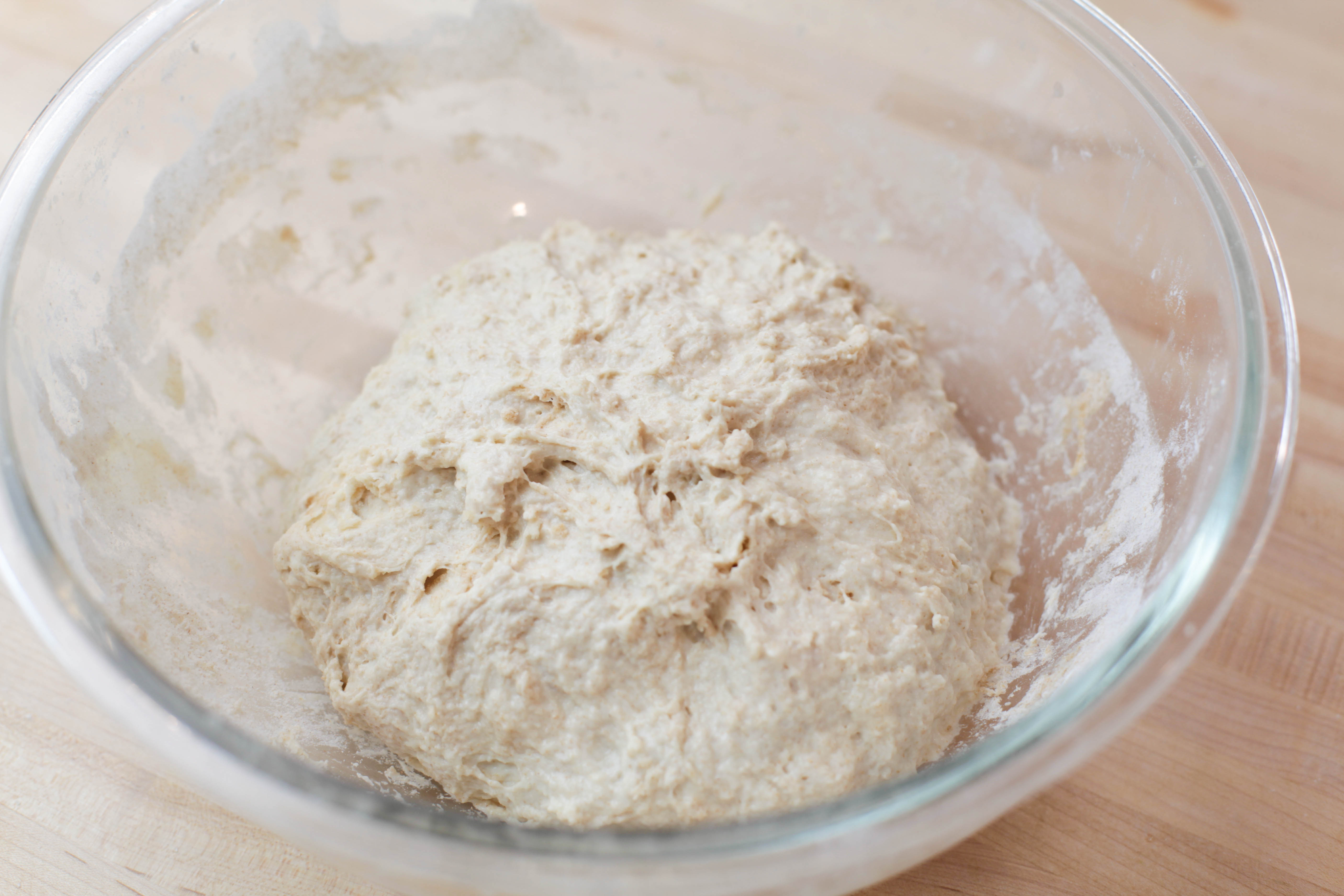 mixture of flour, starter, olive oil, and salt.